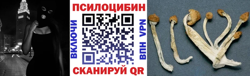 как найти закладки  Яровое  Псилоцибиновые грибы Psilocybine cubensis 